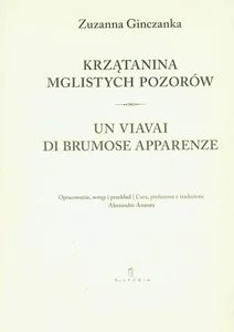 Krzątanina mglistych pozorów