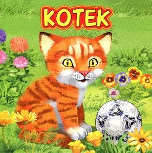 Kotek
