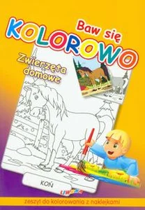 Baw się kolorowo Zwierzęta domowe Koń Zeszyt do kolorowania z naklejkami