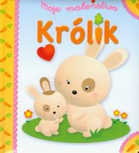 Królik Moje maleństwo
