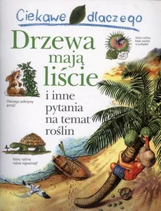 Ciekawe dlaczego drzewa mają liście i inne pytania na temat roślin