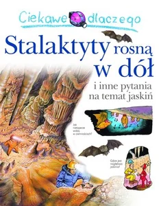 Ciekawe dlaczego Stalaktyty rosną w dół i inne pytania na temat jaskiń