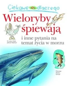 Miękka · 2012