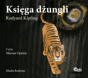 Kartonowa · 2010