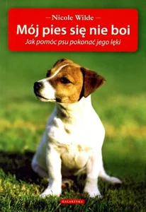 Mój pies się nie boi Jak pomóc psu pokonać jego lęki