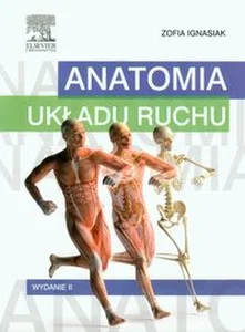 Anatomia układu ruchu Anatomia układu ruchu
