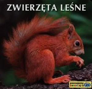 Zwierzęta leśne Zwierzęta leśne
