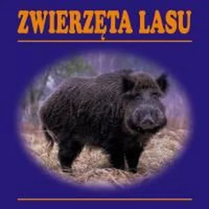 Zwierzęta lasu Zwierzęta lasu