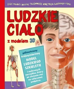 Ludzkie ciało z modelem 3D