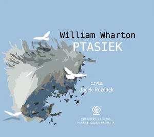 Kartonowa · 2014
