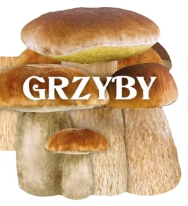 Grzyby Grzyby