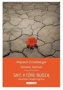 Sny, które budzą Opowieści psychoterapeutyczne Sny, które budzą Opowieści psychoterapeutyczne