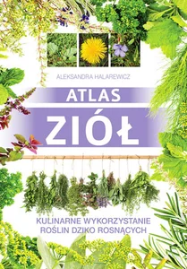 Atlas ziół Kulinarne wykorzystanie roślin dziko rosnących