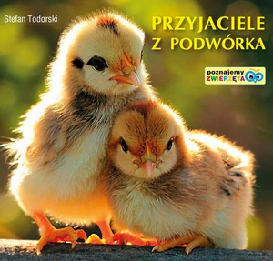 Przyjaciele z podwórka Poznajemy zwierzęta