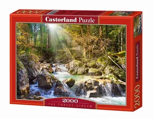 Puzzle The forest stream 2000