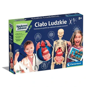 Ciało Ludzkie Ciało Ludzkie