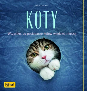 Koty Wszystko, co posiadacze kotów wiedzieć muszą