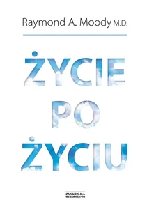 Życie po życiu Życie po życiu