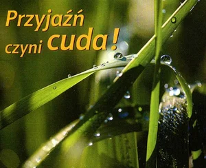 Przyjaźń czyni cuda perełki Przyjaźń czyni cuda perełki