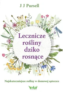 Lecznicze rośliny dziko rosnące Najskuteczniejsze rośliny w domowej apteczce Lecznicze rośliny dziko rosnące Najskuteczniejsze rośliny w domowej apteczce