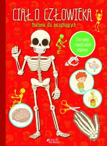 Ciało człowieka Anatomia dla początkujących Ciało człowieka Anatomia dla początkujących