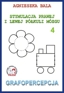Stymulacja Prawej i Lewej Półkuli Mózgu Zeszyt 4 Grafopercepcja