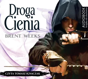 Droga cienia