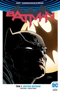 Batman Tom 1 Jestem Gotham