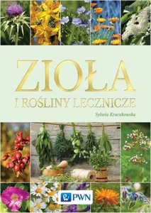 Zioła i rośliny lecznicze Zioła i rośliny lecznicze