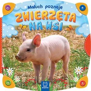 Maluch poznaje zwierzęta na wsi Maluch poznaje zwierzęta na wsi
