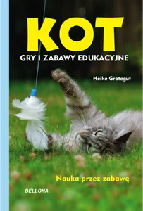 Miękka ze skrzydełkami · 2018