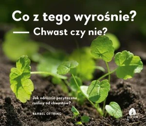 Co z tego wyrośnie? Chwast czy nie? Jak odróżnić pożyteczne rośliny od chwastów?
