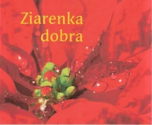 Perełka 173 - Ziarenka dobra Perełka 173 - Ziarenka dobra
