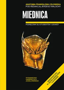 Anatomia Prawidłowa Człowieka Miednica Podręcznik dla studentów i lekarzy