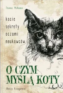 O czym myślą koty Kocie sekrety oczami naukowców