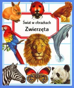 Miękka · 2019