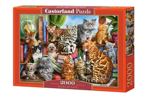 Puzzle 2000 House of Cats