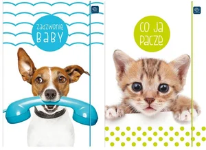 Teczka z gumką A4+ UV Puppy Sign 10 sztuk mix