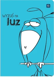 Zeszyt A5 w linie 32 kartki 10 sztuk mix