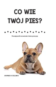 Co wie Twój pies Poznaj sposób rozumienia świata przez psy