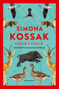 Miękka ze skrzydełkami · 2022