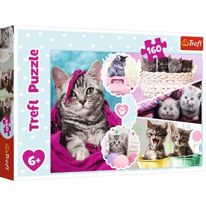 Puzzle 160 Urocze kotki