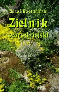 Miękka · 2024