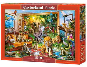 Puzzle 1000 Coming to Room C-104321