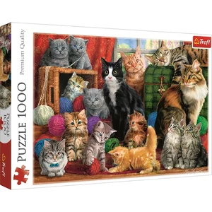 Puzzle Kocie spotkanie 1000