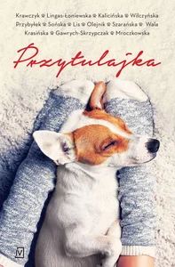 Przytulajka - pocket