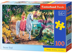 Puzzle Secret Trail 100 B-111114