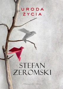 Miękka · 2019