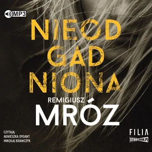 CD MP3 Nieodgadniona seria z damianem wernerem