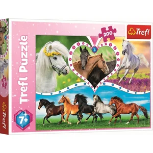 Puzzle Piękne konie 200